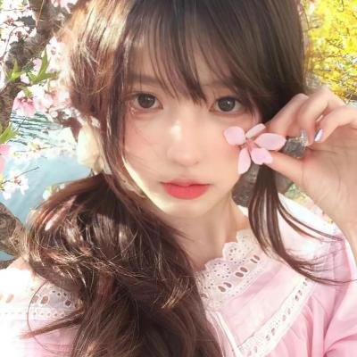 以规则之名