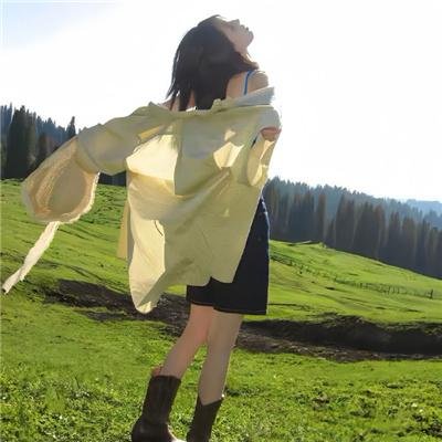 树枝折断时